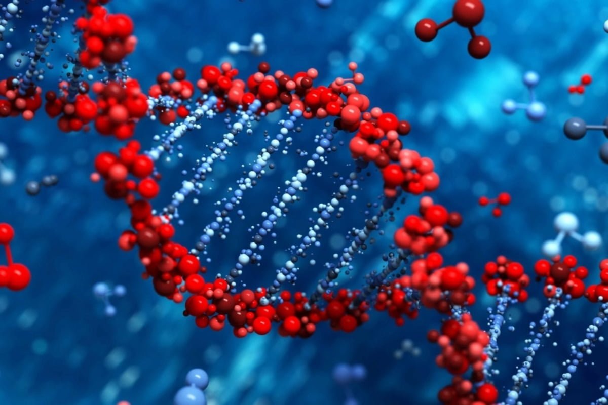 AMINO ACIDS BLOG POST